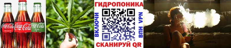 Cannafood марихуана  Купить где  Тайшет 