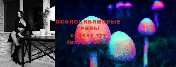 спиды Алексеевка
