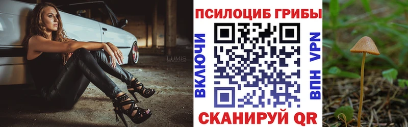Галлюциногенные грибы мицелий Тайшет