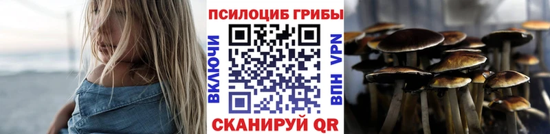Галлюциногенные грибы прущие грибы  Купить закладки  Тайшет 