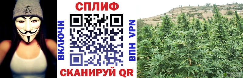 Шишки марихуана индика  Купить  Тайшет 